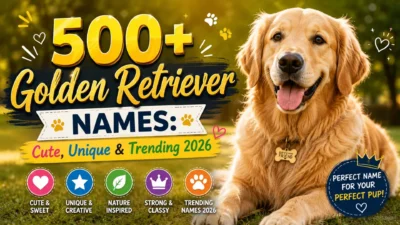 500+ Golden Retriever Names Cute, Unique & Trending 2026