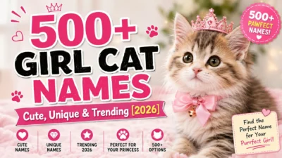 500+girl cat names Cute, Unique & Trending [2026]